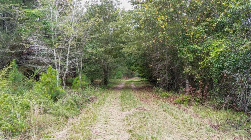 0 Willow Creek Drive Oglethorpe, GA 31068