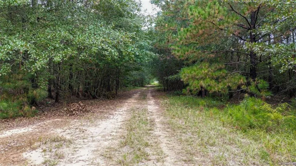 0 Willow Creek Drive Oglethorpe, GA 31068