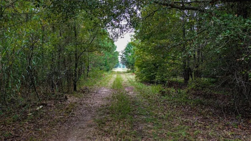 0 Willow Creek Drive Oglethorpe, GA 31068
