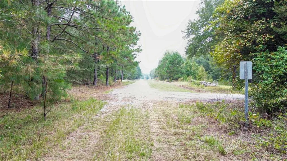 0 Willow Creek Drive Oglethorpe, GA 31068
