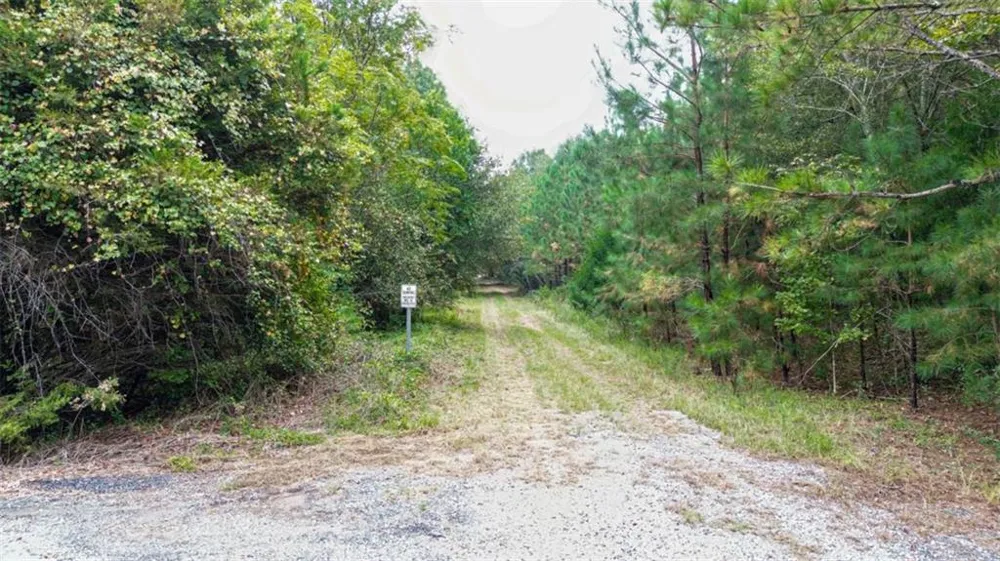 0 Willow Creek Drive Oglethorpe, GA 31068