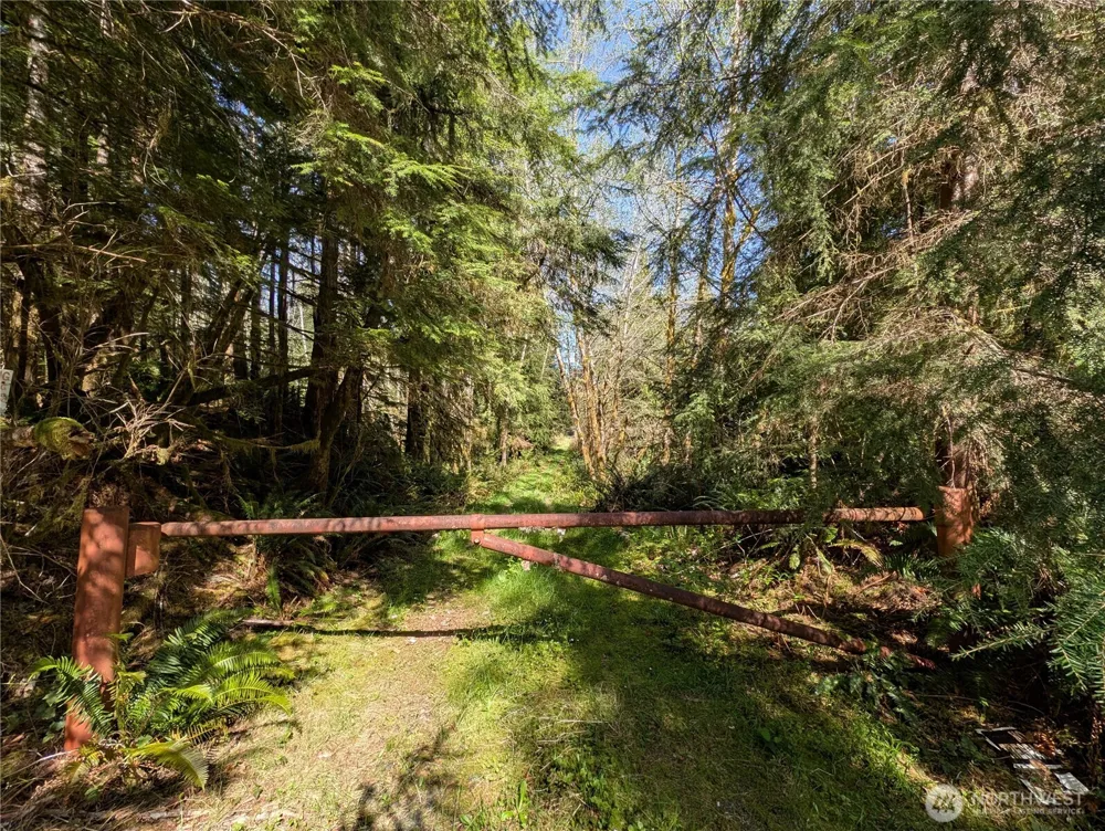 999 Hoh River Park Drive Forks, WA 98331