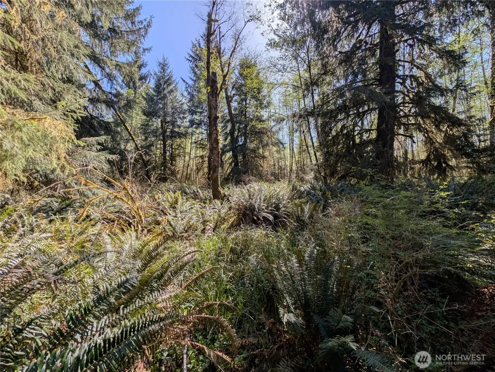 999 Hoh River Park Drive Forks, WA 98331