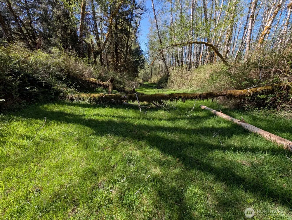 999 Hoh River Park Drive Forks, WA 98331