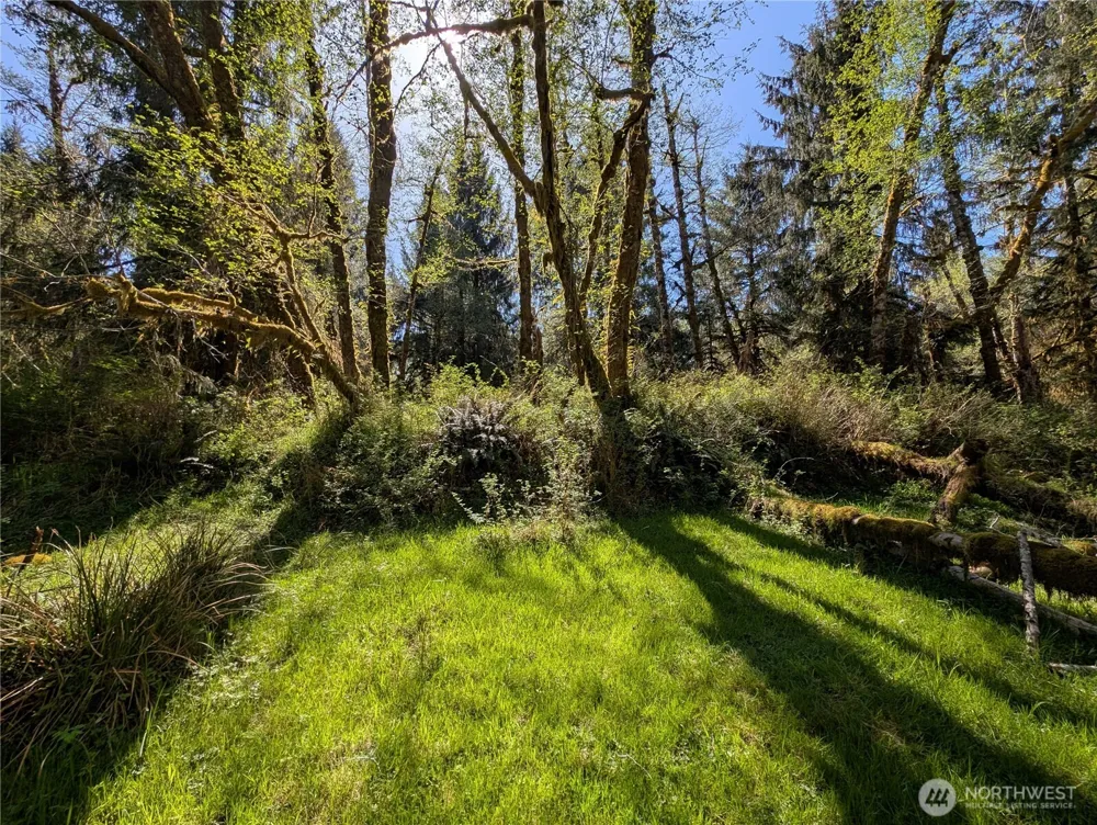 999 Hoh River Park Drive Forks, WA 98331