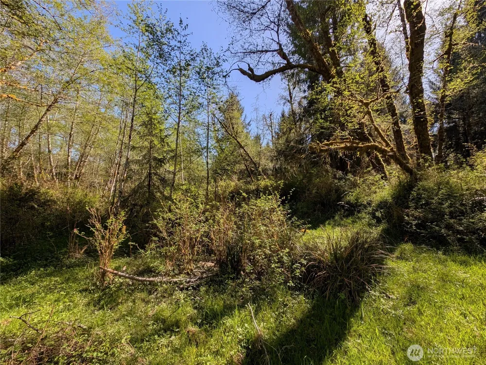 999 Hoh River Park Drive Forks, WA 98331
