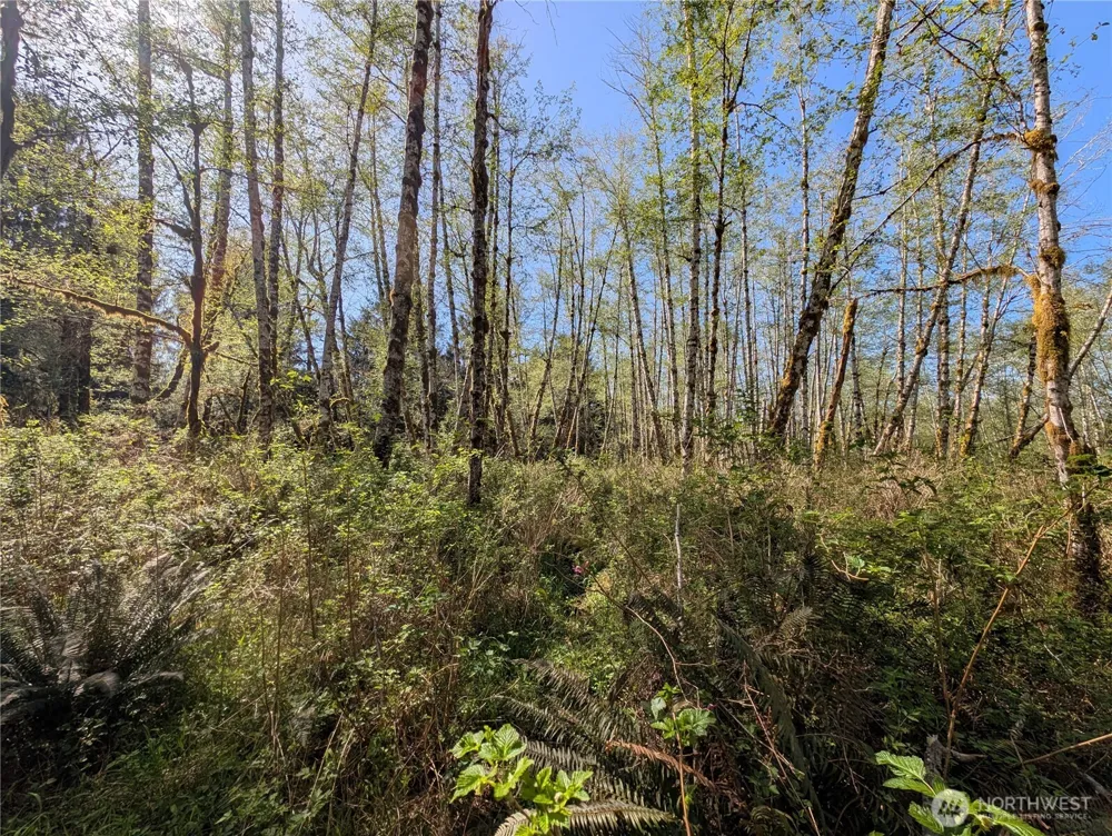 999 Hoh River Park Drive Forks, WA 98331