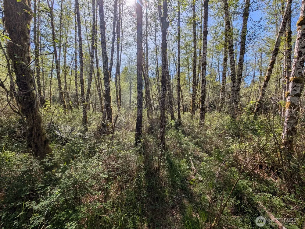 999 Hoh River Park Drive Forks, WA 98331