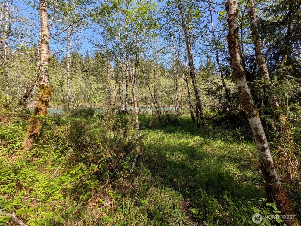 999 Hoh River Park Drive Forks, WA 98331