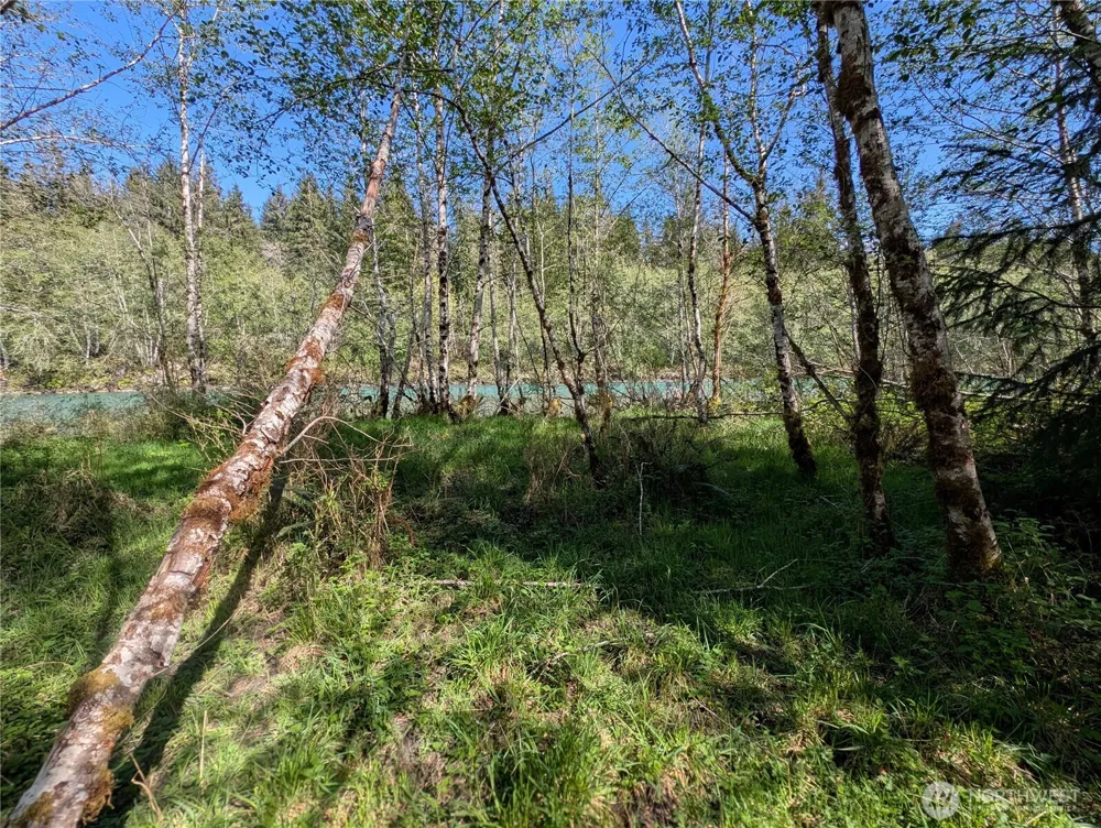 999 Hoh River Park Drive Forks, WA 98331