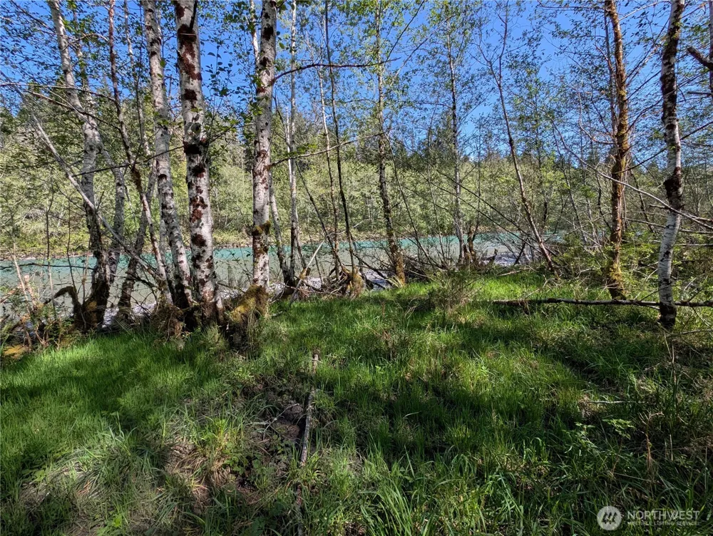 999 Hoh River Park Drive Forks, WA 98331