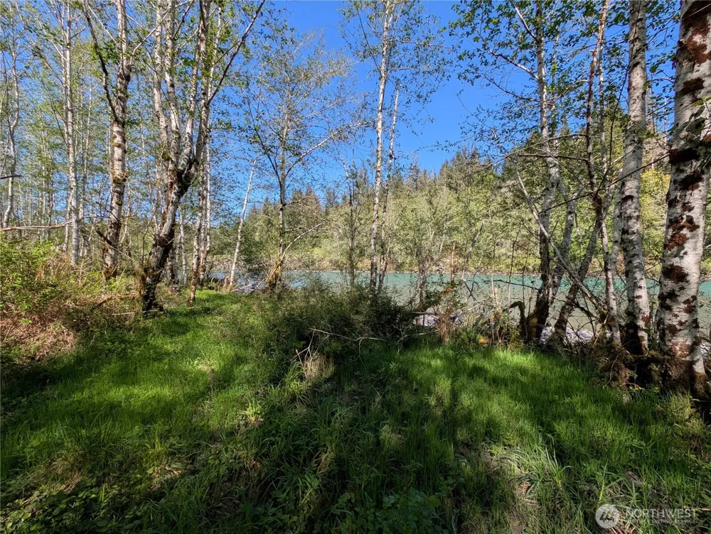 999 Hoh River Park Drive Forks, WA 98331