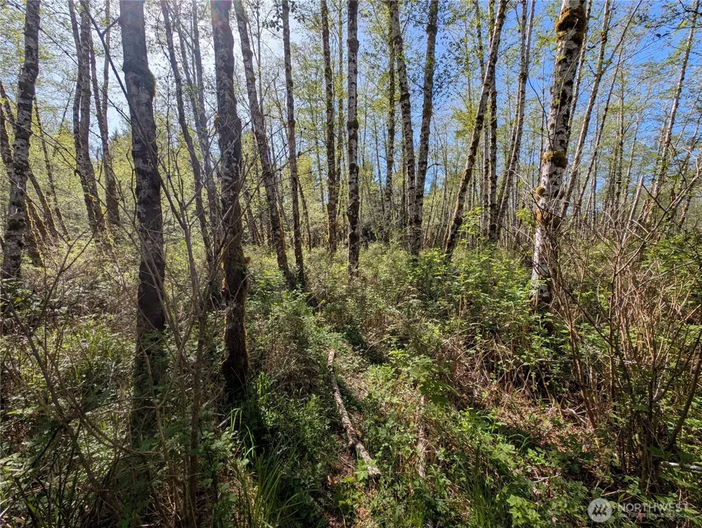 999 Hoh River Park Drive Forks, WA 98331