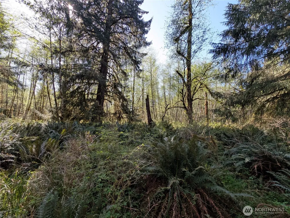 999 Hoh River Park Drive Forks, WA 98331