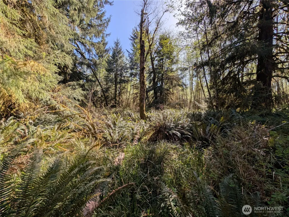 999 Hoh River Park Drive Forks, WA 98331