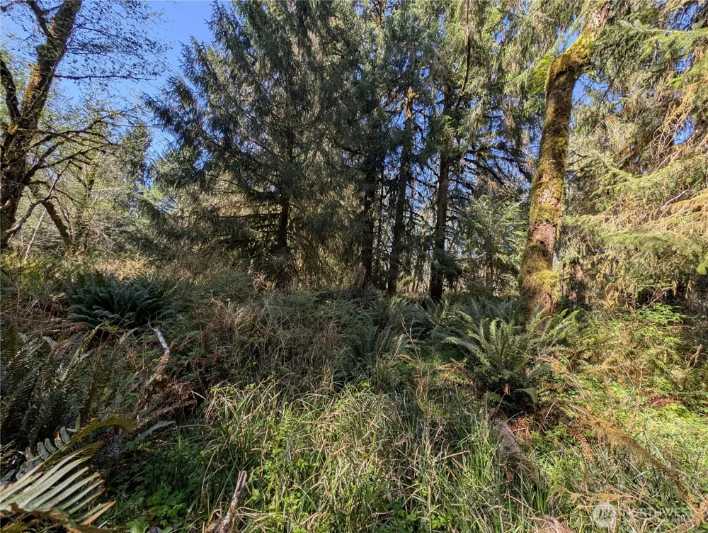 999 Hoh River Park Drive Forks, WA 98331