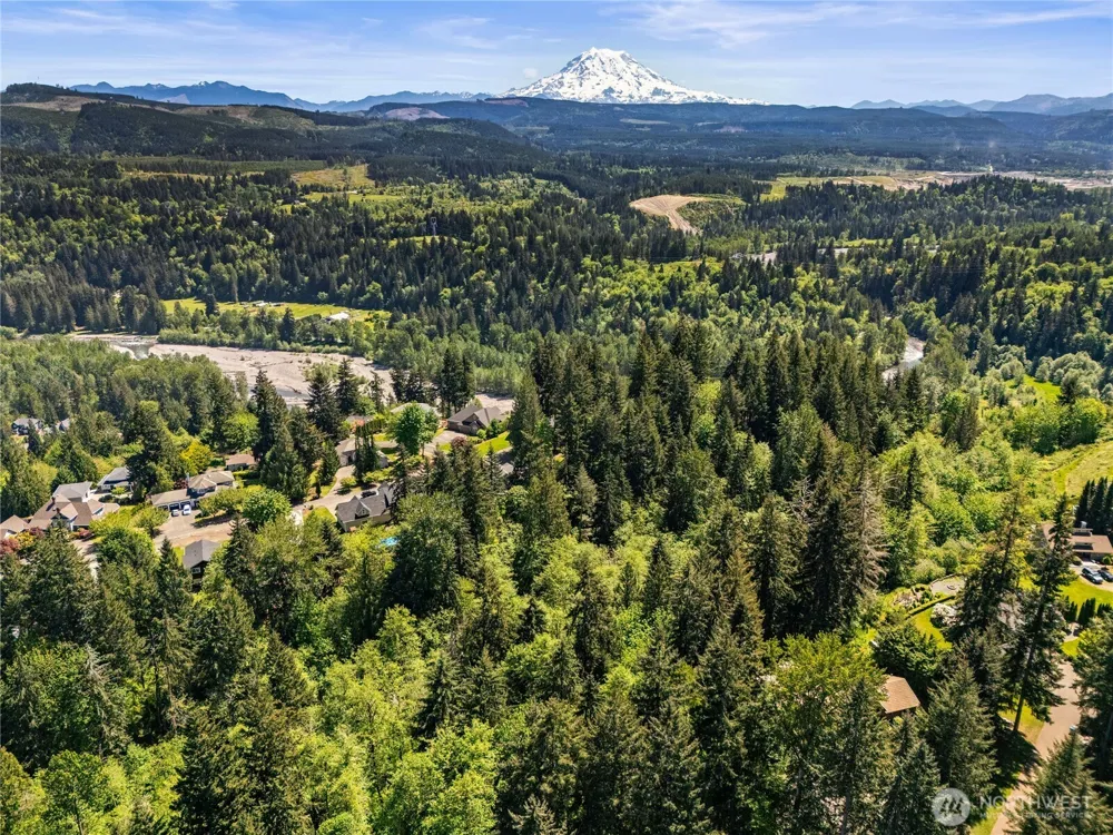 16217 232nd Street Ct E Graham, WA 98338