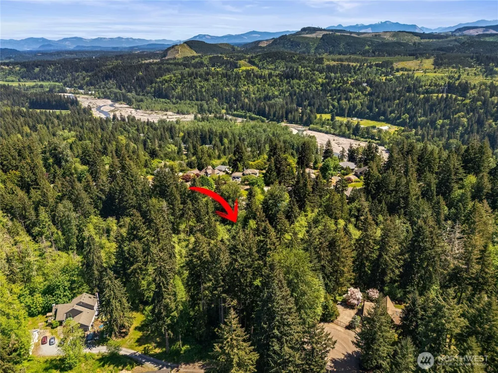 16217 232nd Street Ct E Graham, WA 98338