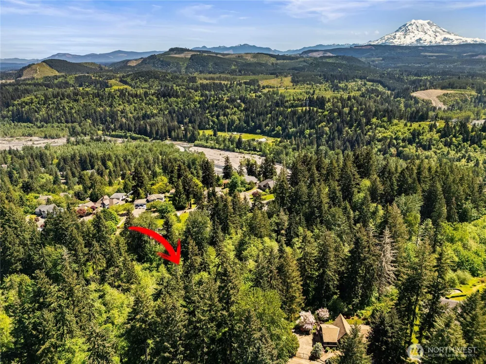 16217 232nd Street Ct E Graham, WA 98338