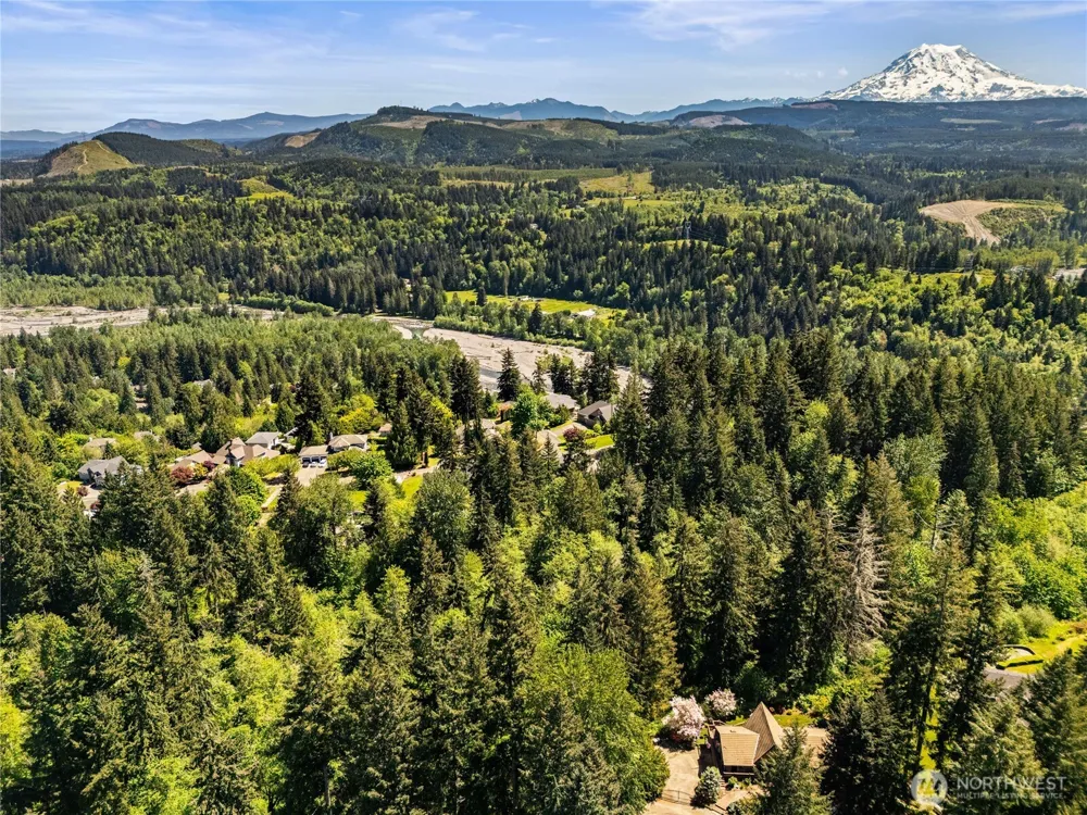 16217 232nd Street Ct E Graham, WA 98338