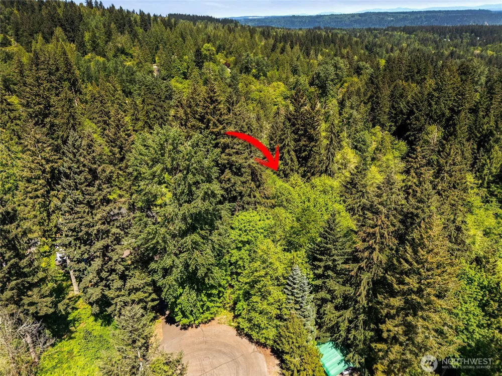 16217 232nd Street Ct E Graham, WA 98338