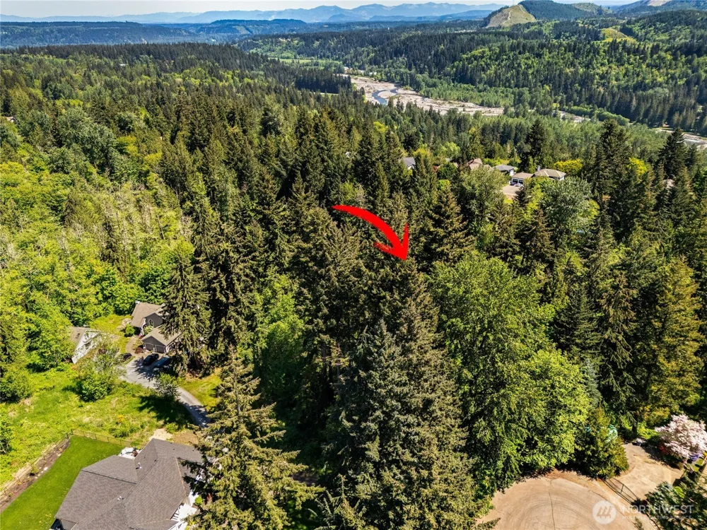 16217 232nd Street Ct E Graham, WA 98338