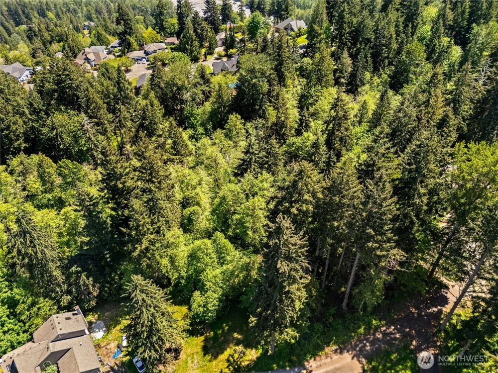 16217 232nd Street Ct E Graham, WA 98338