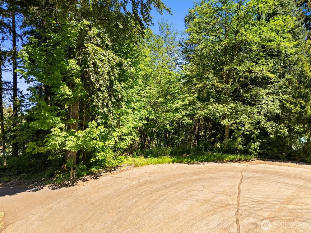 16217 232nd Street Ct E Graham, WA 98338