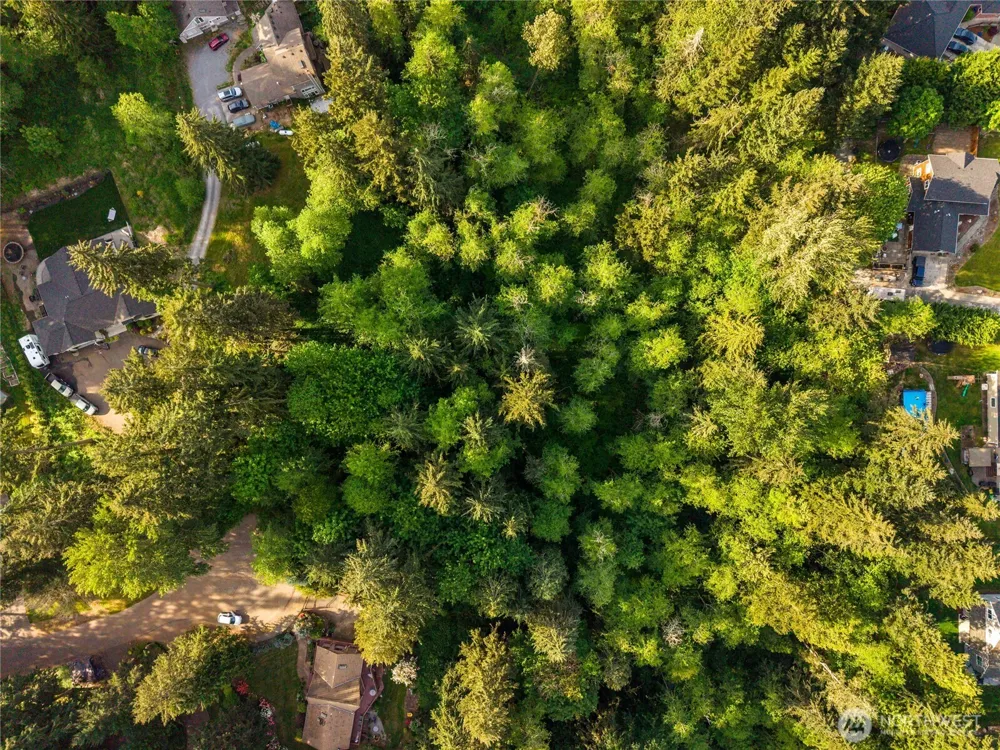 16217 232nd Street Ct E Graham, WA 98338