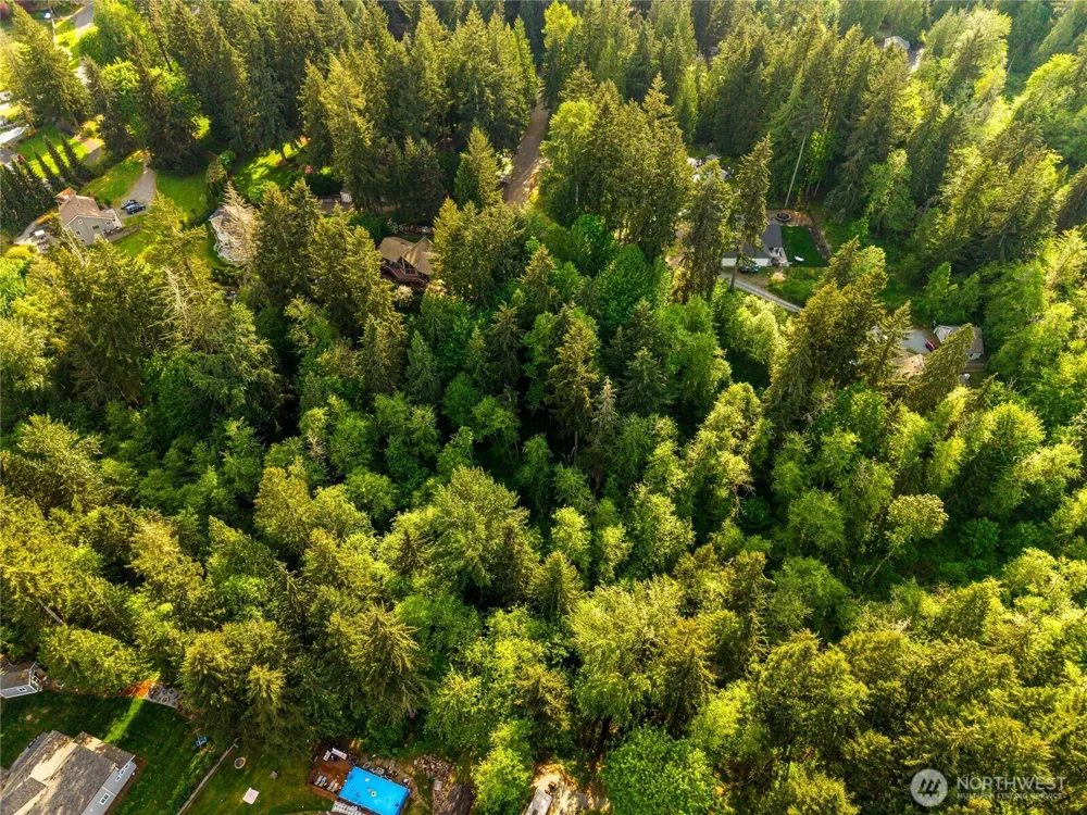 16217 232nd Street Ct E Graham, WA 98338