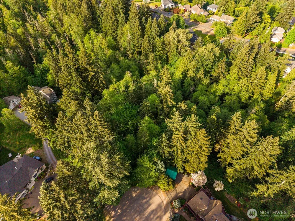 16217 232nd Street Ct E Graham, WA 98338