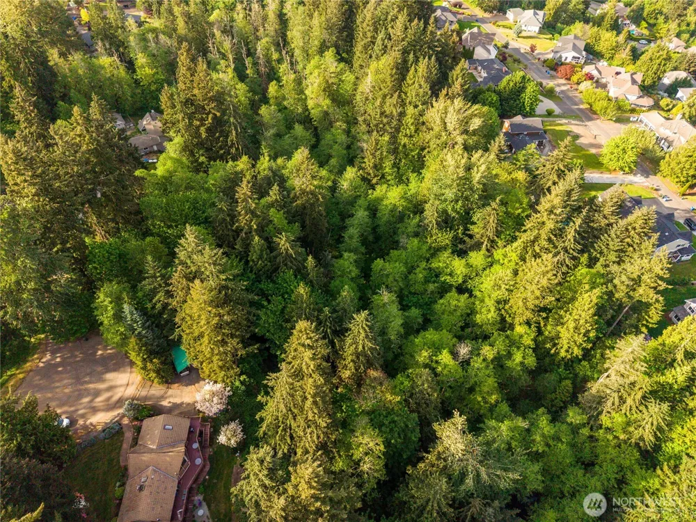 16217 232nd Street Ct E Graham, WA 98338