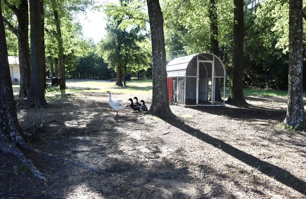 387 County Road 2101 Ivanhoe, TX 75447