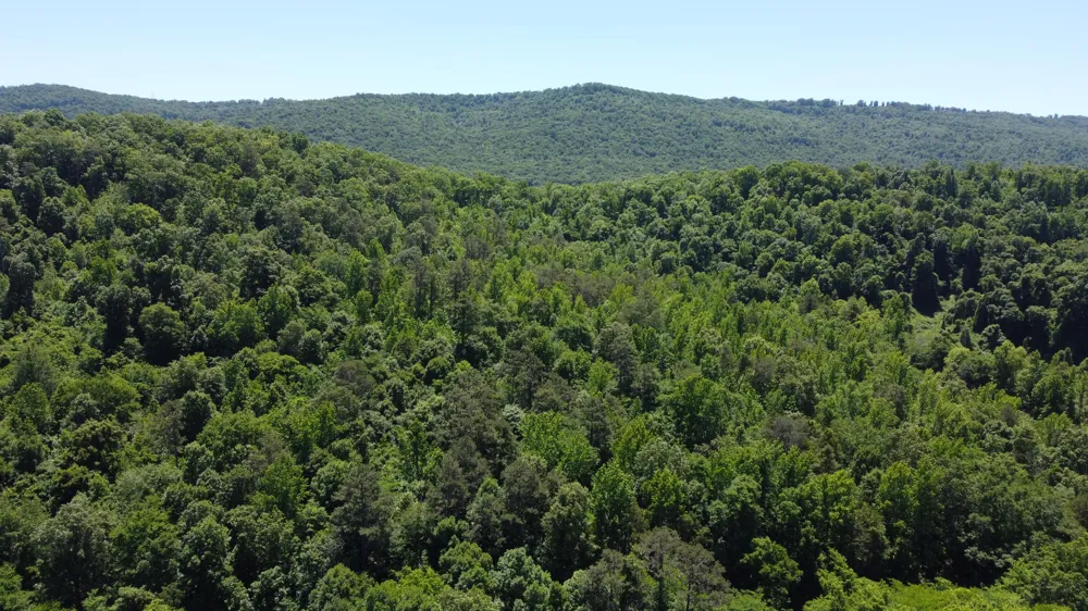247 Hwy 156 South Pittsburg, TN 37380
