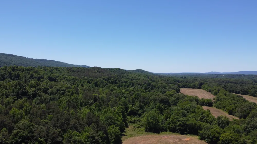 247 Hwy 156 South Pittsburg, TN 37380