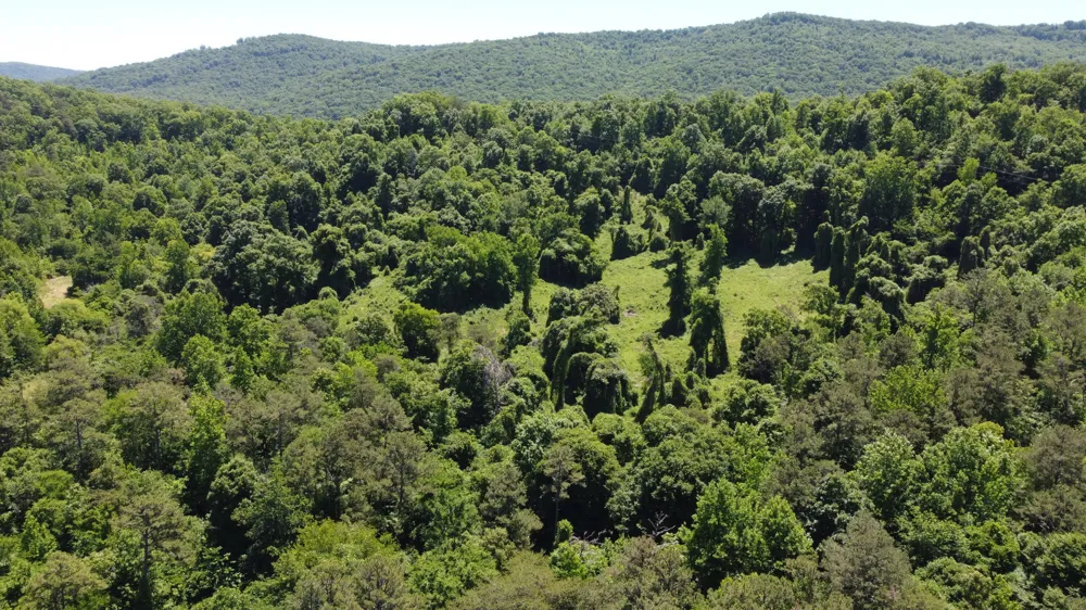 247 Hwy 156 South Pittsburg, TN 37380