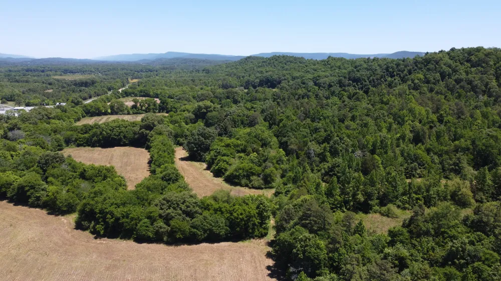 247 Hwy 156 South Pittsburg, TN 37380