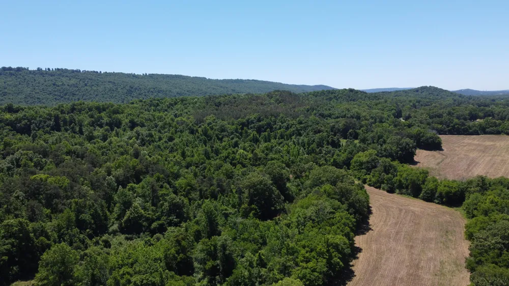 247 Hwy 156 South Pittsburg, TN 37380