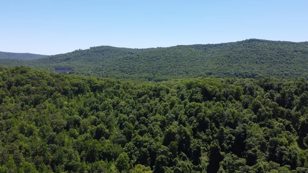 247 Hwy 156 South Pittsburg, TN 37380