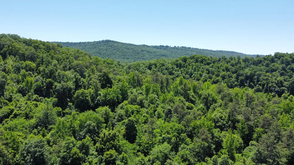 247 Hwy 156 South Pittsburg, TN 37380