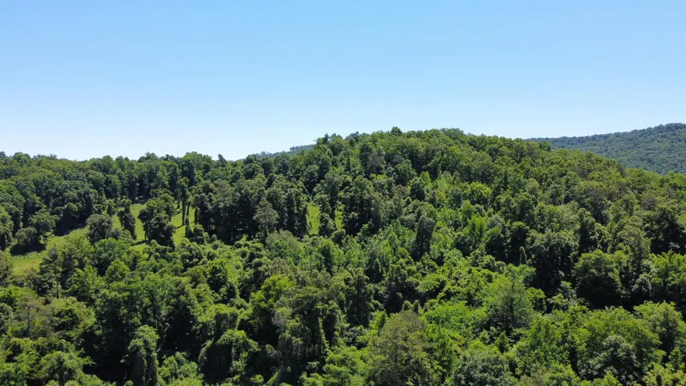 247 Hwy 156 South Pittsburg, TN 37380
