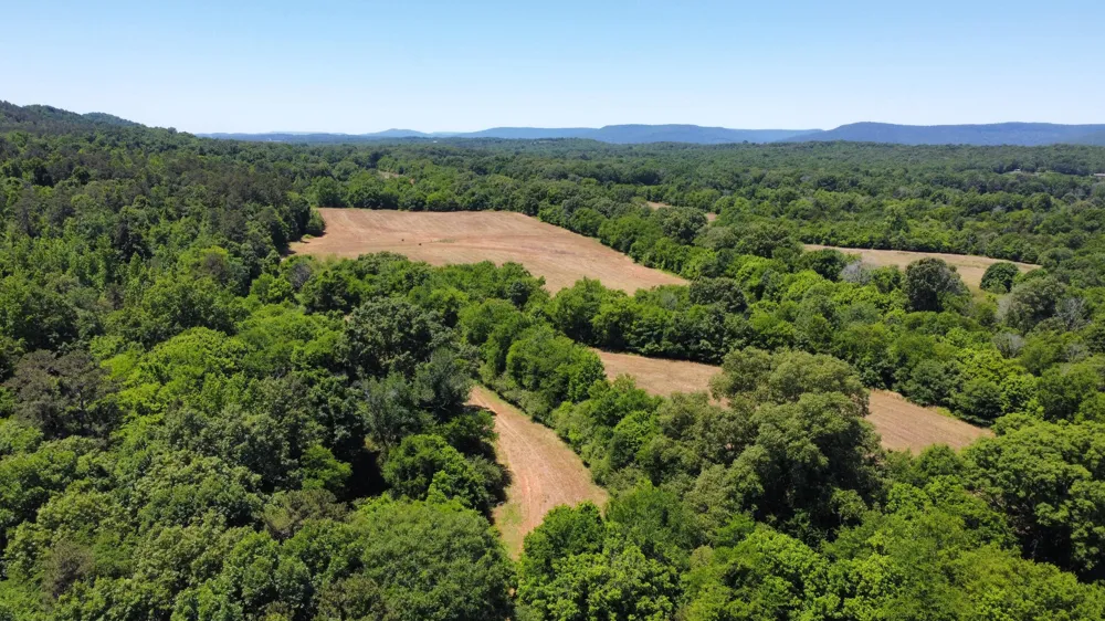 247 Hwy 156 South Pittsburg, TN 37380