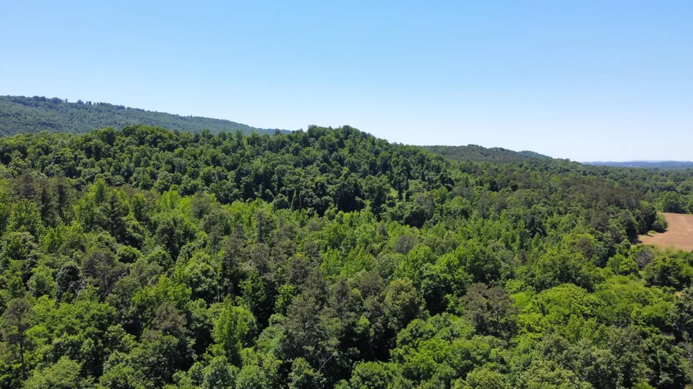 247 Hwy 156 South Pittsburg, TN 37380