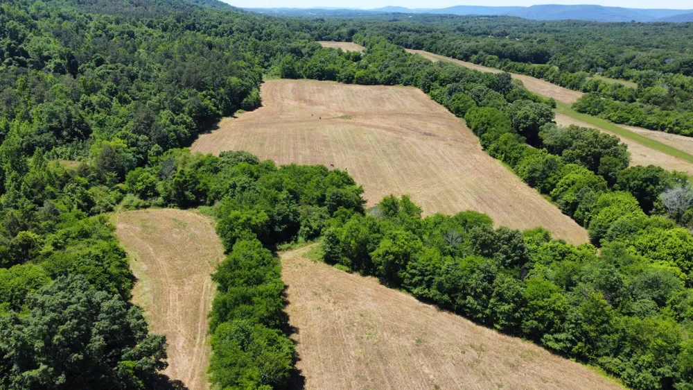 247 Hwy 156 South Pittsburg, TN 37380
