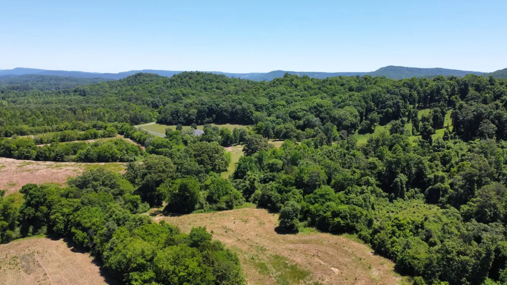 247 Hwy 156 South Pittsburg, TN 37380