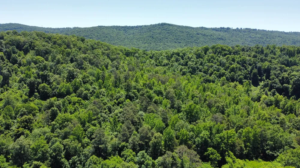 247 Hwy 156 South Pittsburg, TN 37380