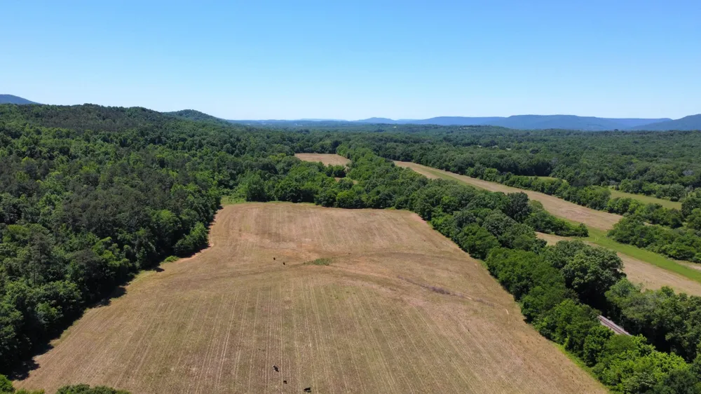 247 Hwy 156 South Pittsburg, TN 37380