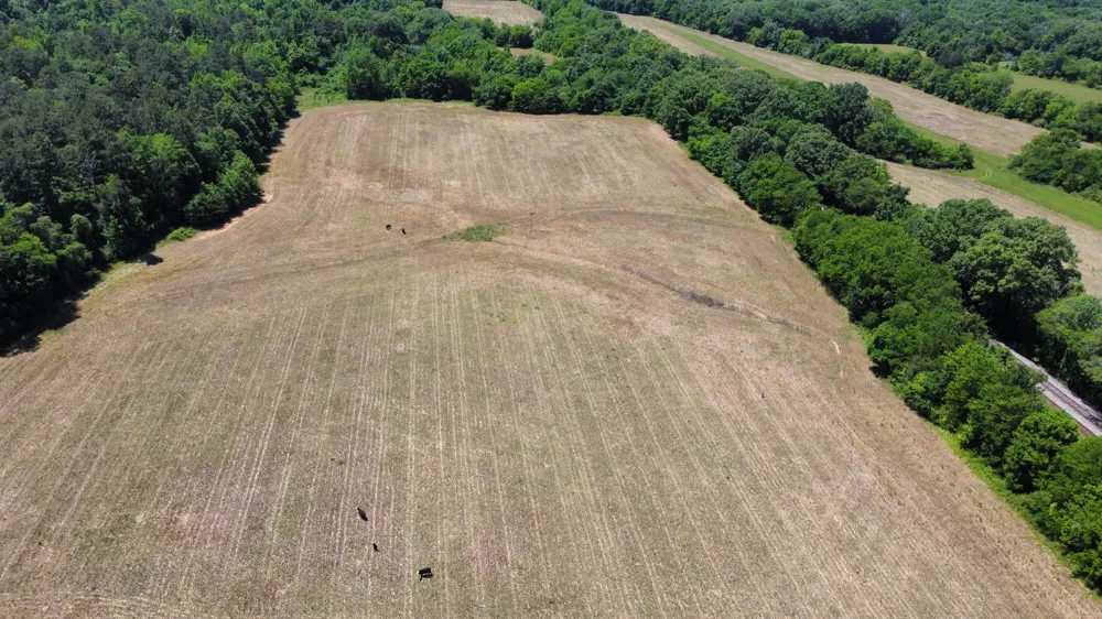247 Hwy 156 South Pittsburg, TN 37380