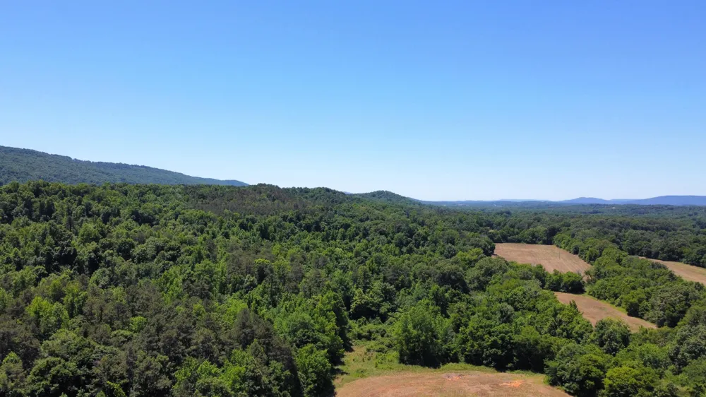 247 Hwy 156 South Pittsburg, TN 37380