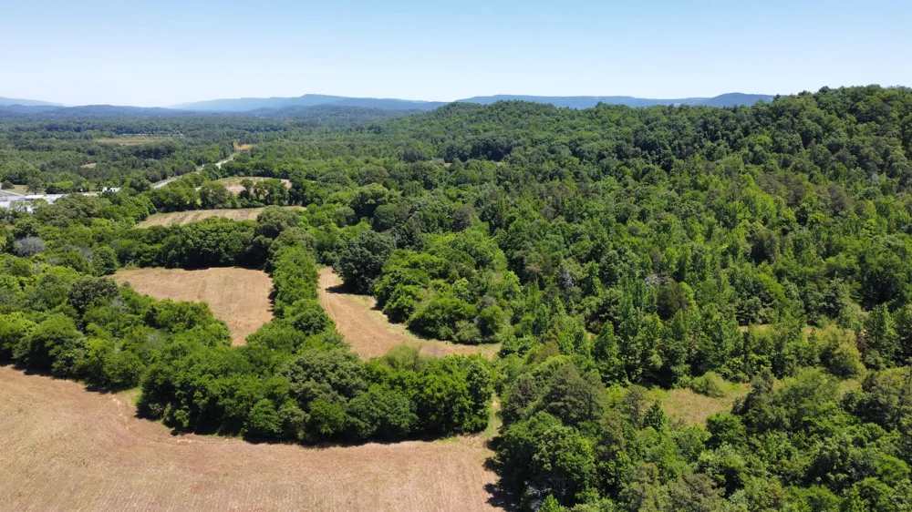 247 Hwy 156 South Pittsburg, TN 37380